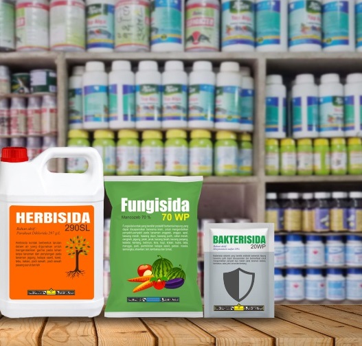 Packaging Design